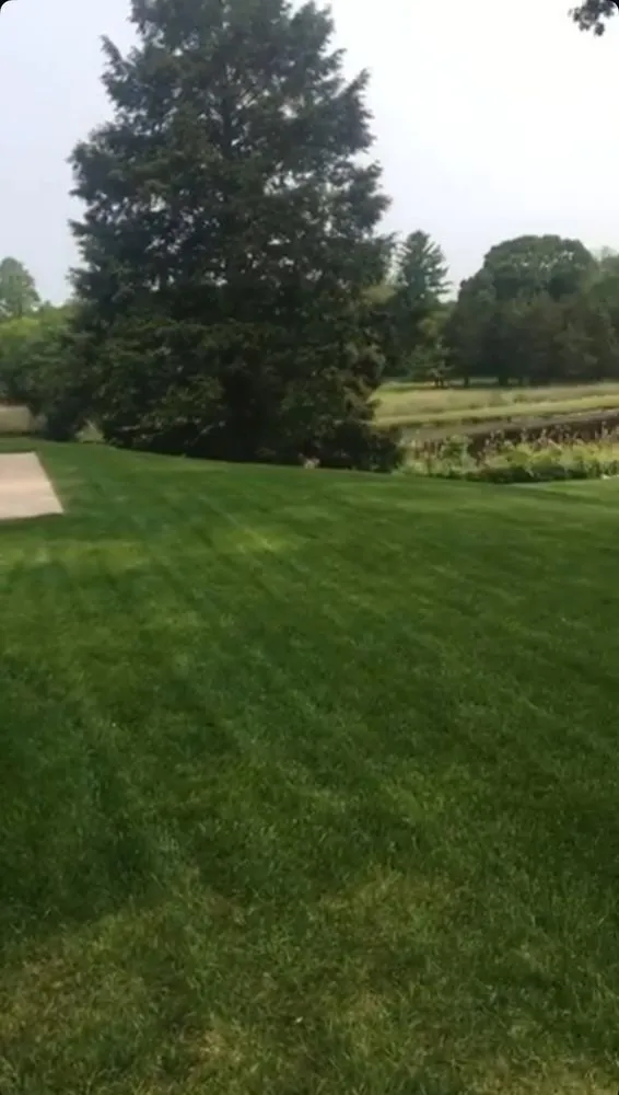 Local residential landscaping experts serving Cranston, RI - DiFusco’s lawn solutions