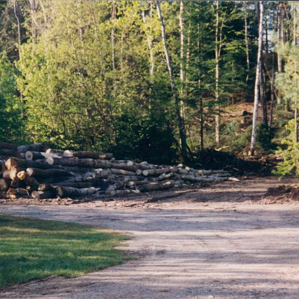 Top-rated outdoor landscaping experts serving Whitefield, NH - Dig 4 U