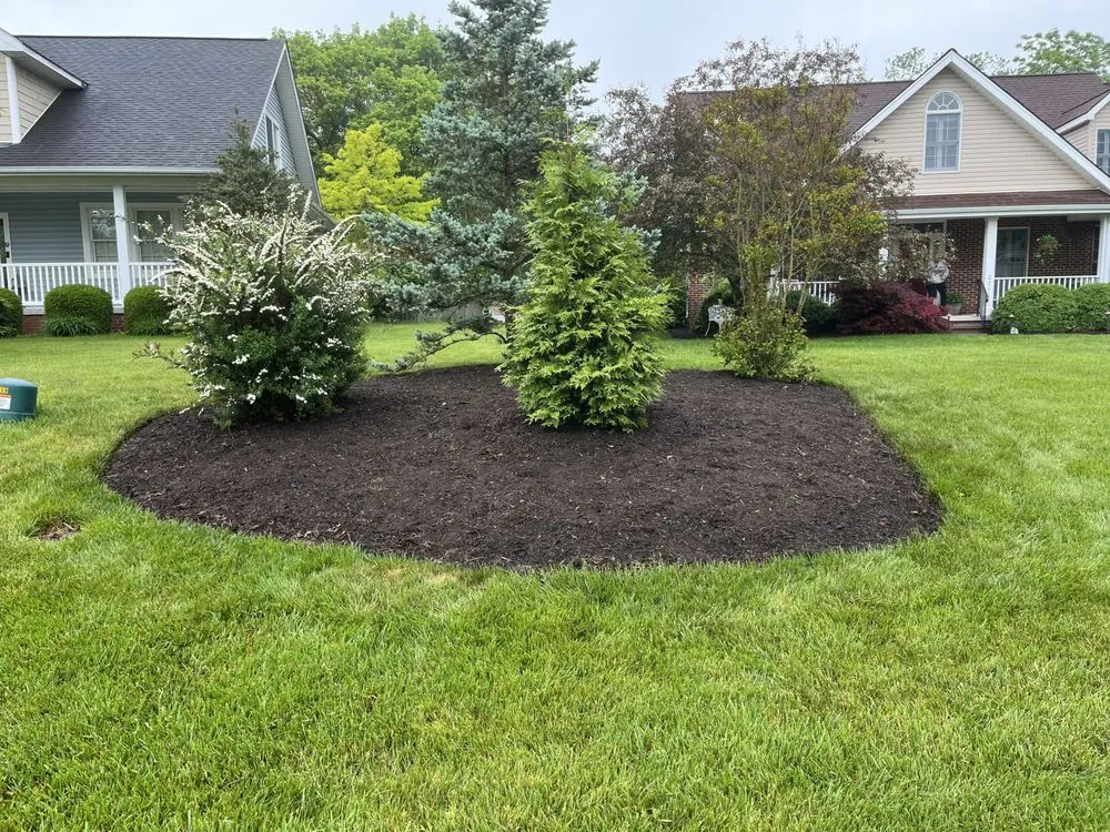 Expert yard maintenance experts serving Blacksburg, VA - Dig Big