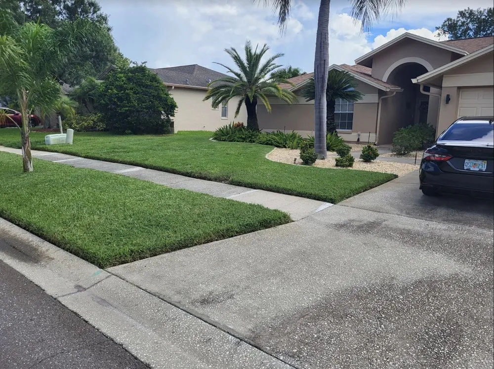 Expert lawn care service in Tampa Bay, FL by Dig Em Up Care