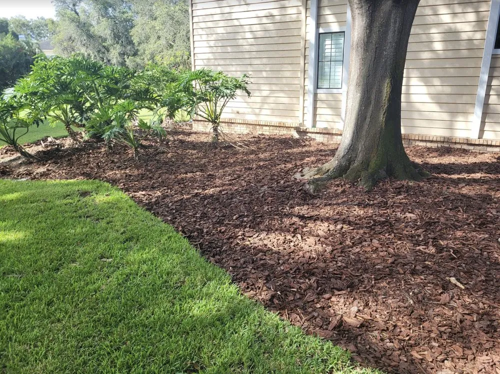 Top-rated residential landscaping experts serving Tampa Bay, FL - Dig Em Up Care