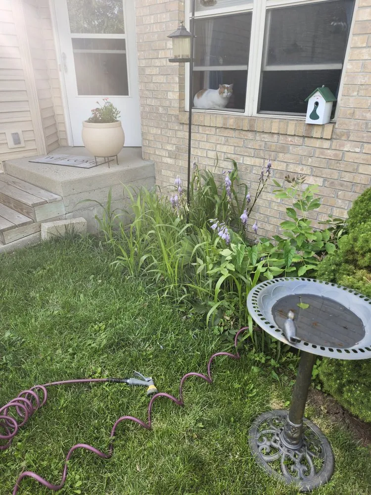 Top-rated garden landscaping for homes across Boscobel, WI - Dig Industries