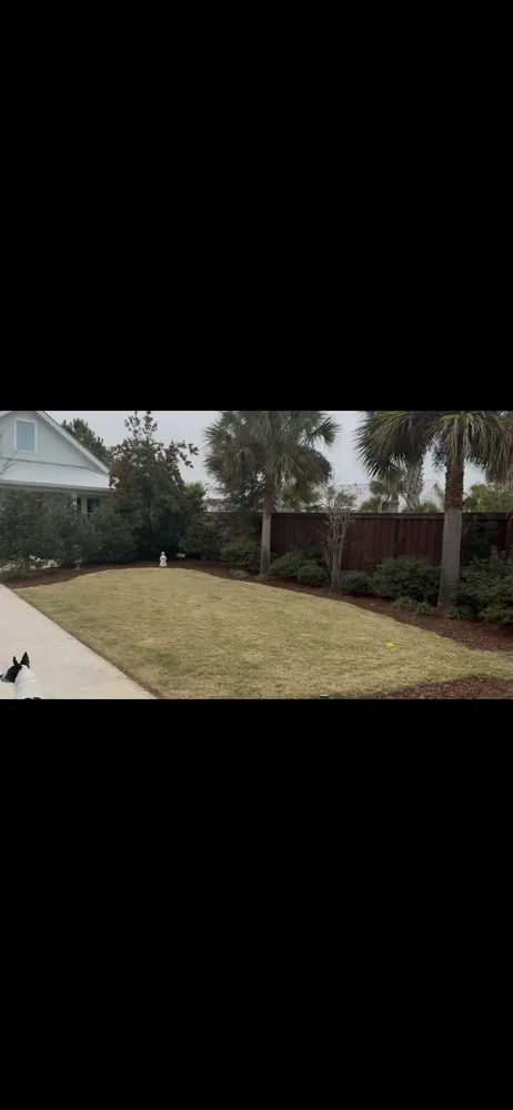 Top-rated garden landscaping in Destin, FL - Dig It Garden & Lawn