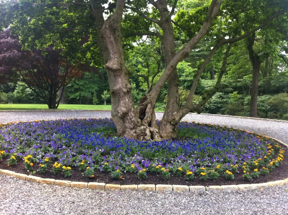 Professional residential landscaping experts serving Kennett Square, PA - Dig It Landscape & Garden Design