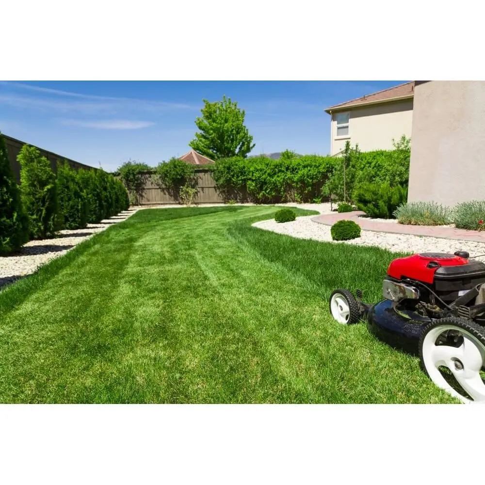 Professional landscape installation for beautiful yards in Watford City, ND by Dig-It Landscaping