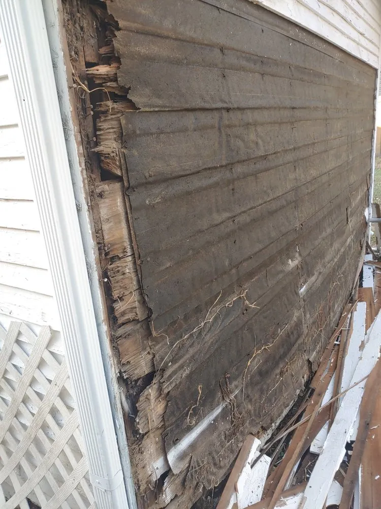 Affordable residential landscaping in Wichita, KS - Dig It