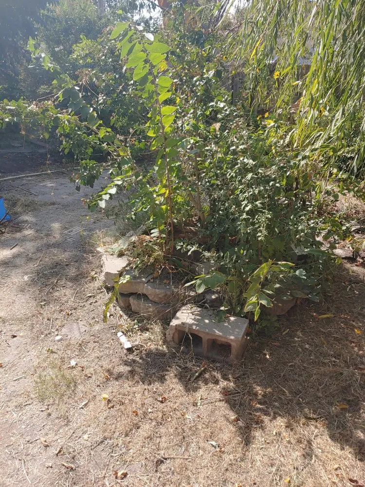 Trusted landscaping services experts serving Wichita, KS - Dig It