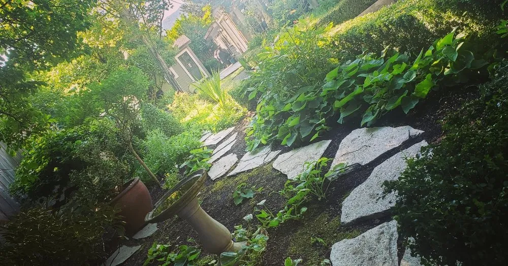 Local yard maintenance in Medford, OR - Dig My Garden Landscape & Design