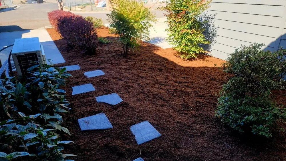 Trusted landscape design in Medford, OR - Dig My Garden Landscape & Design