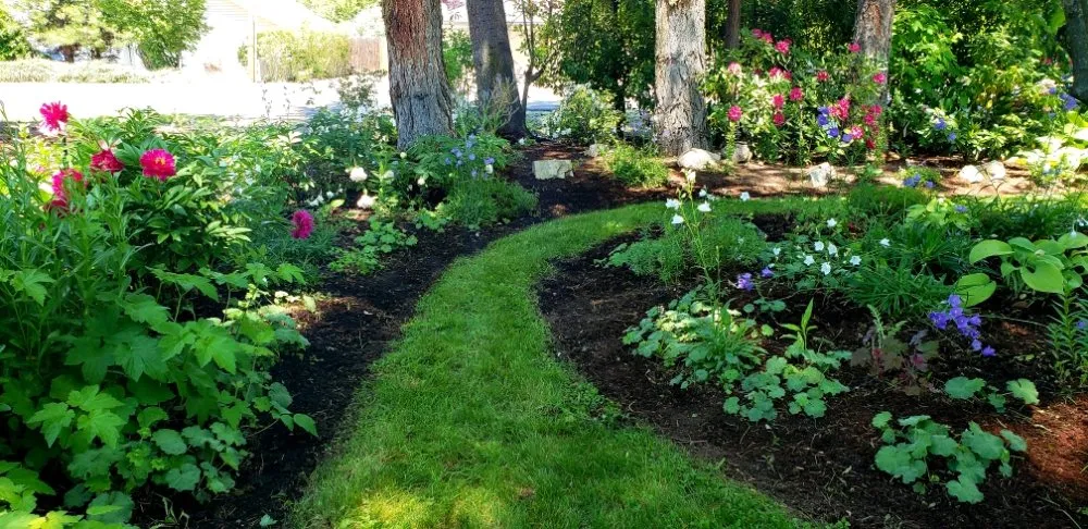 Affordable lawn mowing service experts serving Medford, OR - Dig My Garden Landscape & Design