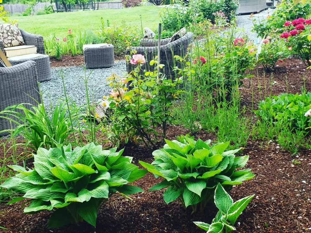 Expert yard cleanup service experts serving Medford, OR - Dig My Garden Landscape & Design