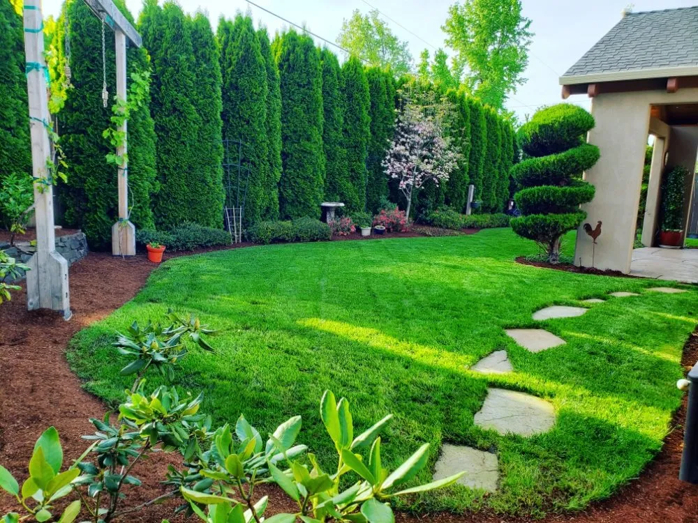 Professional yard cleanup service for homes in Medford, OR by Dig My Garden Landscape & Design