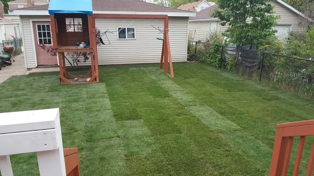 Top-rated landscaping services in Westchester, IL by Dig Right In Landscaping Inc