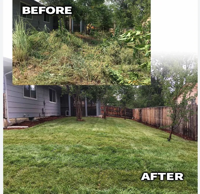 Affordable landscaping services experts serving San Antonio, TX - Dig That Tree Service