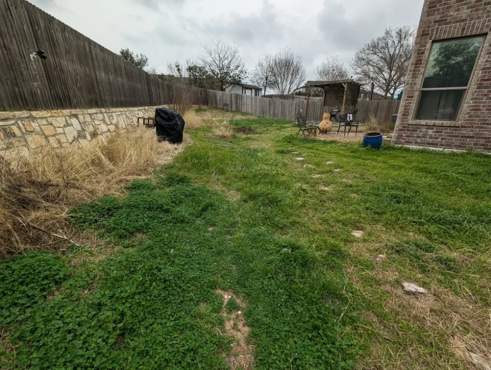 Reliable lawn care service for outdoor upgrades in San Antonio, TX by Dig That Tree Service