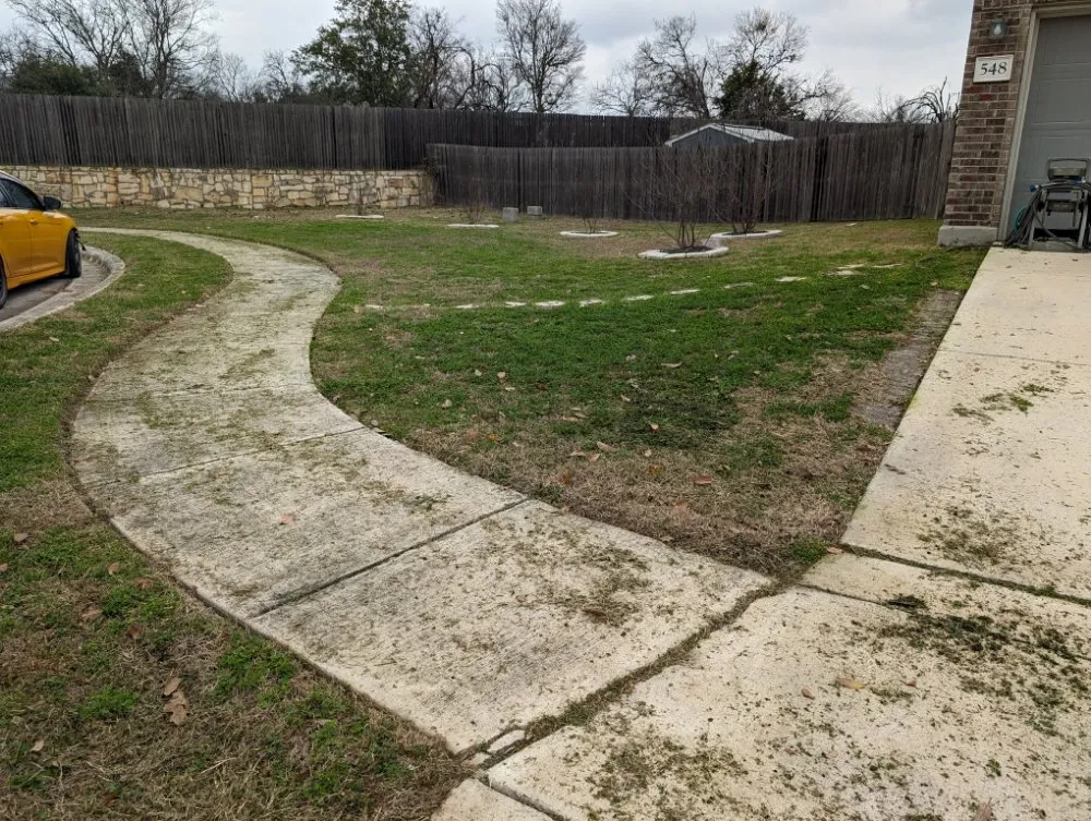 Expert lawn care service in San Antonio, TX by Dig That Tree Service