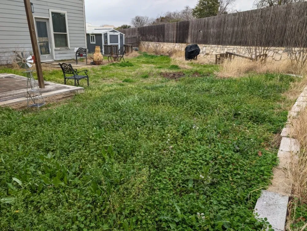 Expert lawn care service in San Antonio, TX by Dig That Tree Service