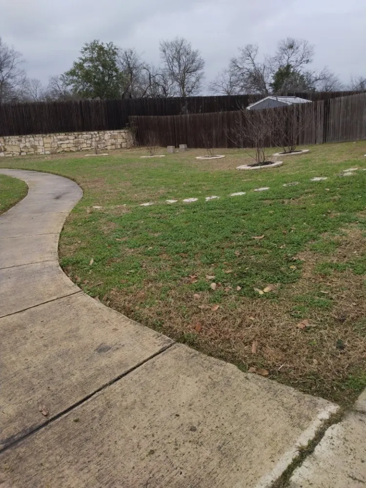 Affordable garden landscaping near you in San Antonio, TX by Dig That Tree Service