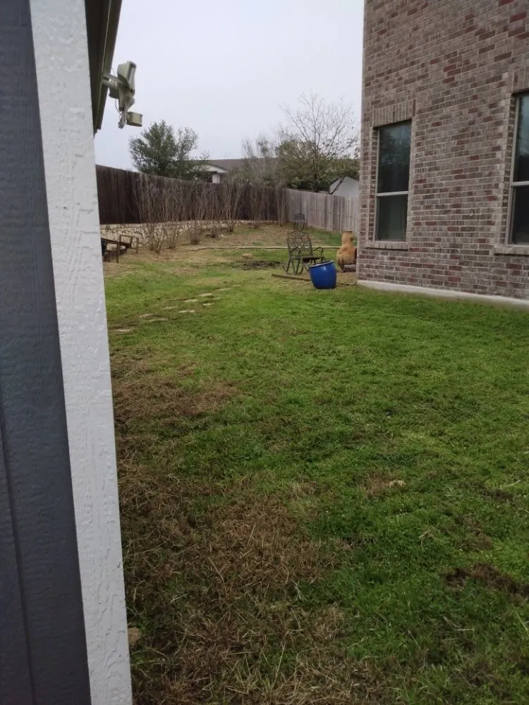 Professional yard maintenance with custom design in San Antonio, TX by Dig That Tree Service