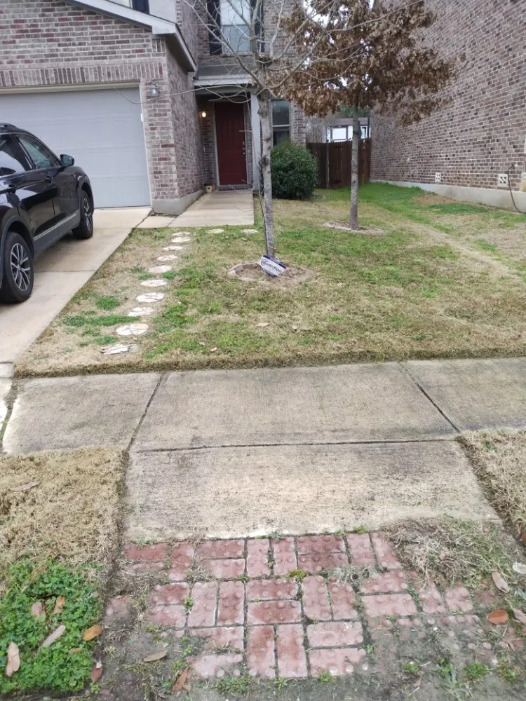 Top-rated residential landscaping experts serving San Antonio, TX - Dig That Tree Service