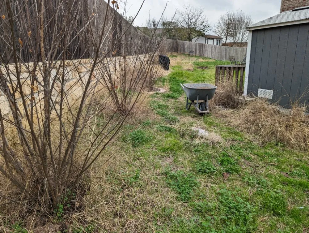 Affordable yard maintenance for residential properties in San Antonio, TX by Dig That Tree Service