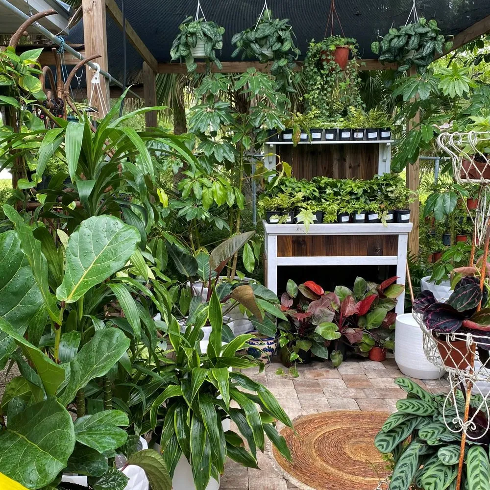 Trusted outdoor landscaping with custom design in Vero Beach, FL by Digg Gardens