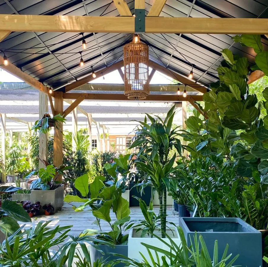 Professional outdoor landscaping in Vero Beach, FL by Digg Gardens