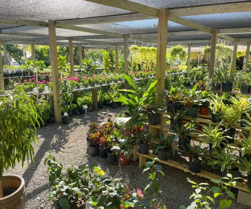 Top-rated landscaping services in Vero Beach, FL - Digg Gardens