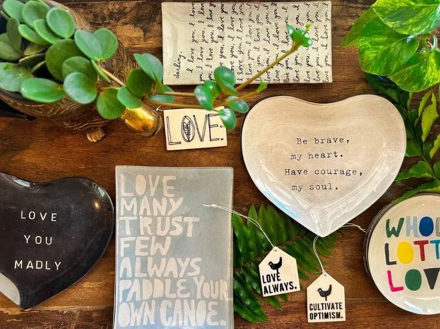 Expert yard cleanup service experts serving Vero Beach, FL - Digg Gardens