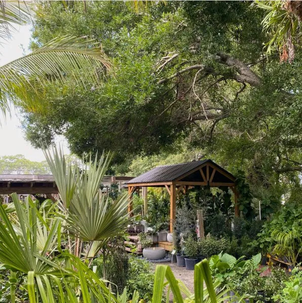 Local yard maintenance for residential properties across Vero Beach, FL - Digg Gardens