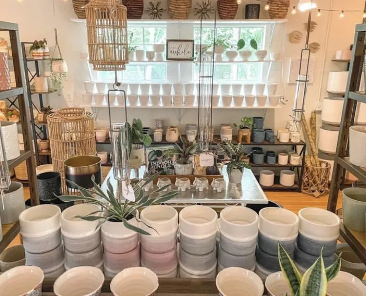 Top-rated landscape design in Vero Beach, FL by Digg Gardens