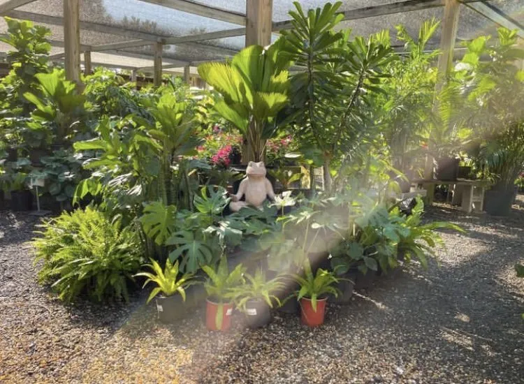 Trusted landscape installation with custom design in Vero Beach, FL by Digg Gardens