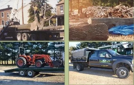 Top-rated yard maintenance in Bordentown, NJ - Diggers Tree Service