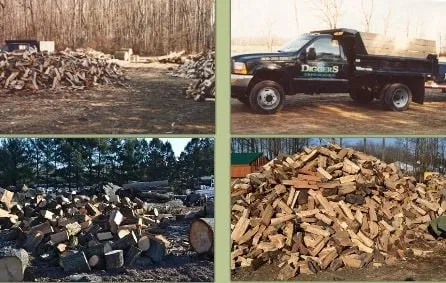 Expert yard cleanup service in Bordentown, NJ - Diggers Tree Service