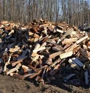 Affordable residential landscaping for outdoor upgrades across Bordentown, NJ - Diggers Tree Service