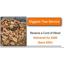 Affordable garden landscaping in Bordentown, NJ by Diggers Tree Service