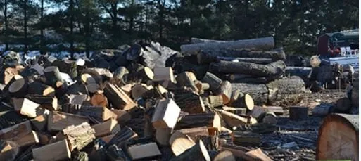 Expert yard cleanup service for homes in Bordentown, NJ by Diggers Tree Service