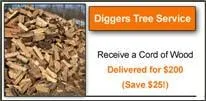 Affordable landscape design experts serving Bordentown, NJ - Diggers Tree Service