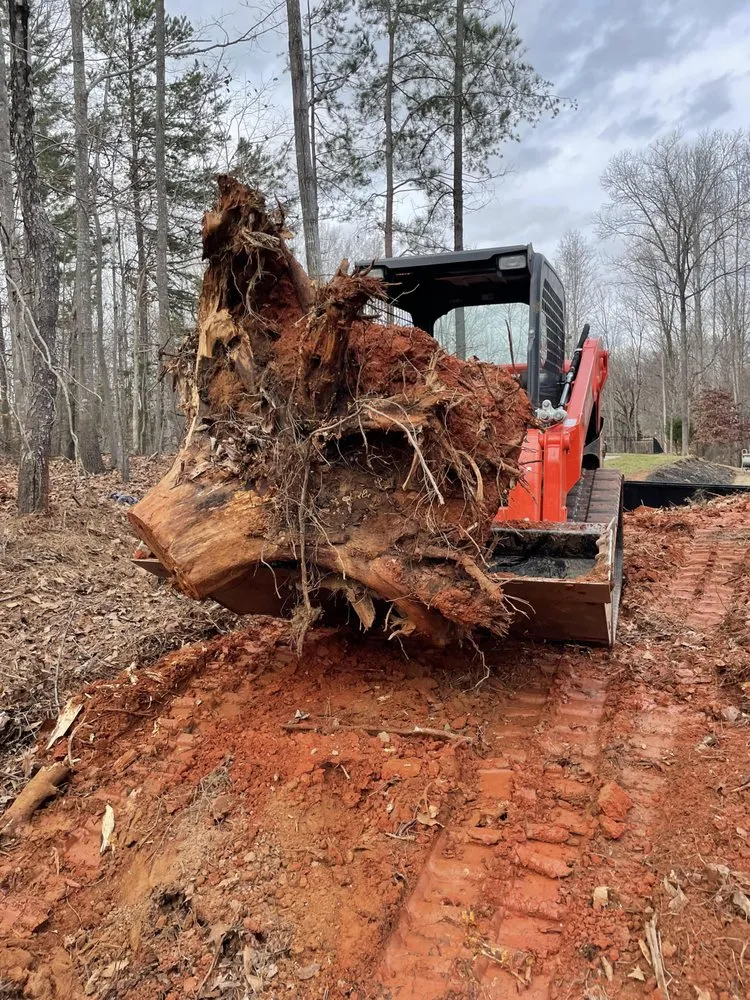 Reliable residential landscaping experts serving Cornelius, NC - Diggin Carolina