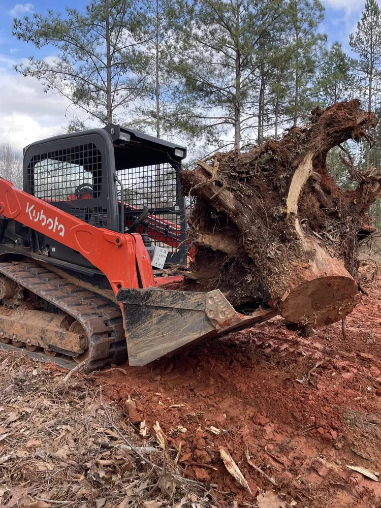 Professional landscape design for beautiful yards across Cornelius, NC - Diggin Carolina