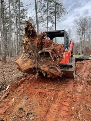 Diggin Carolina Logo