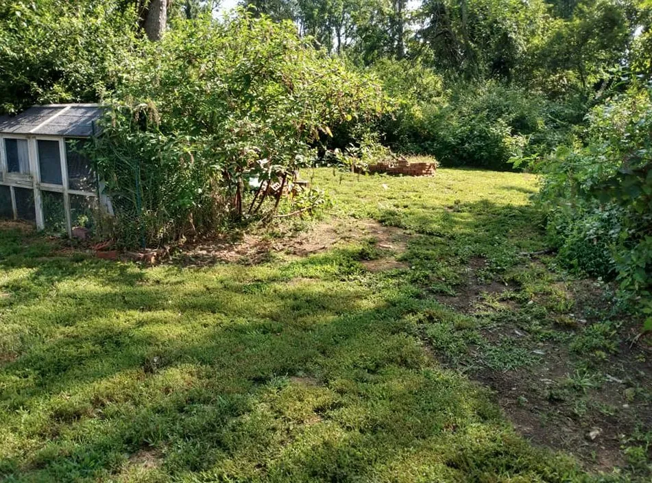 Custom yard maintenance in Fayetteville, PA by Diggin Daves Landscaping and Handyman Services