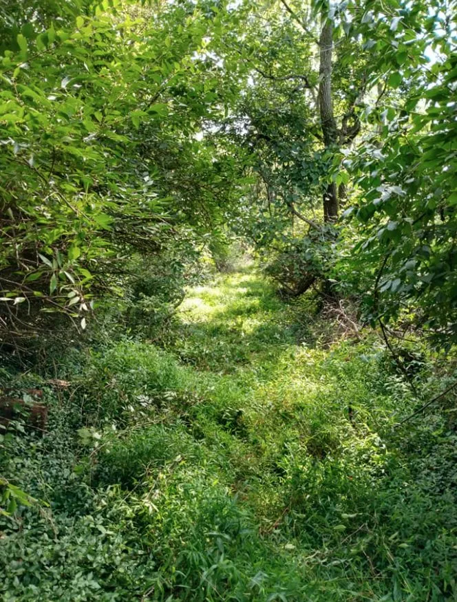 Affordable landscaping services with custom design in Fayetteville, PA by Diggin Daves Landscaping and Handyman Services