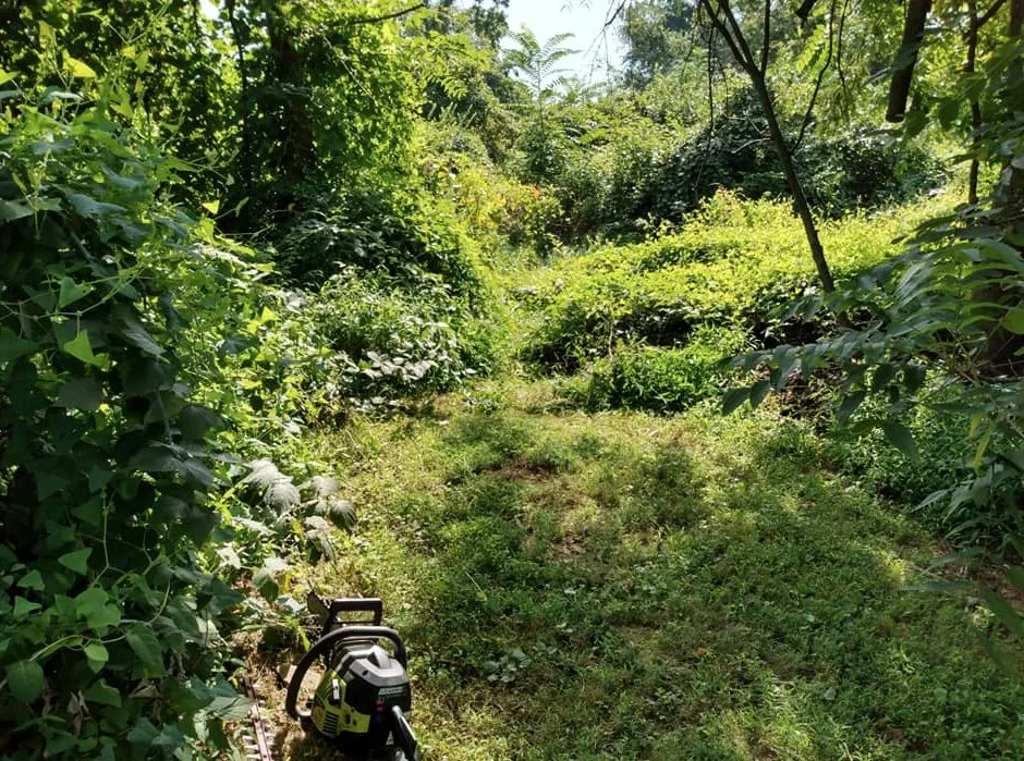 Professional lawn mowing service for residential properties across Fayetteville, PA - Diggin Daves Landscaping and Handyman Services