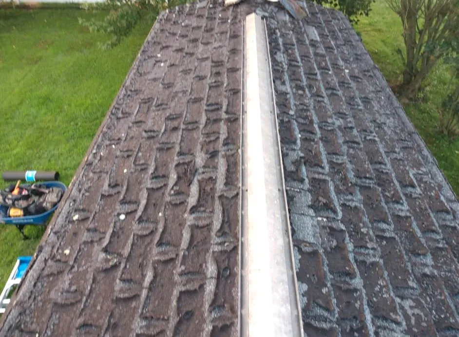 Trusted outdoor landscaping with custom design across Fayetteville, PA - Diggin Daves Landscaping and Handyman Services