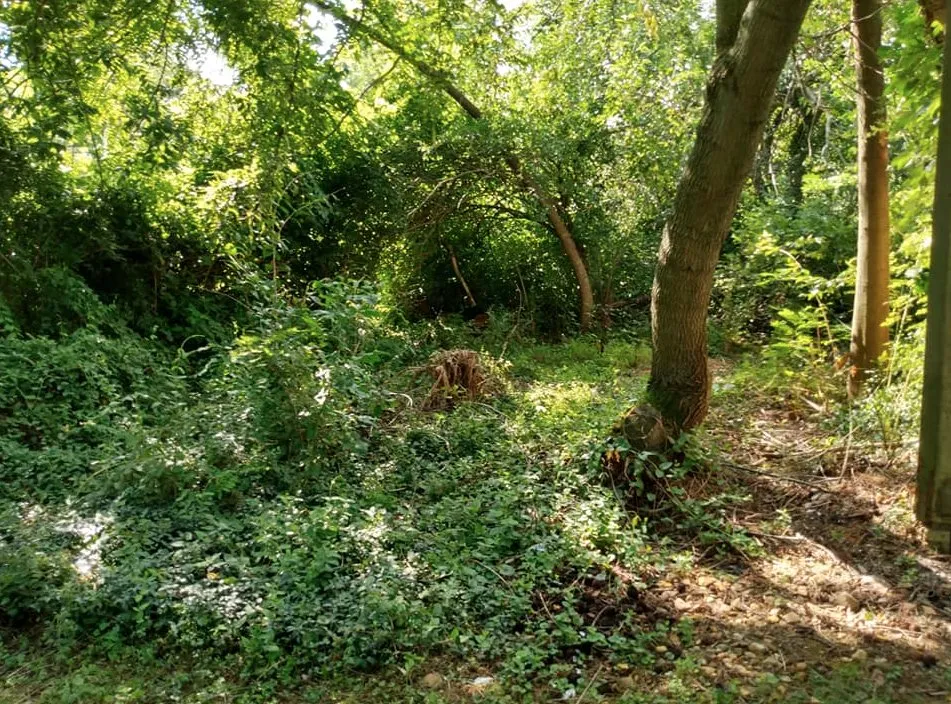 Professional outdoor landscaping experts serving Fayetteville, PA - Diggin Daves Landscaping and Handyman Services