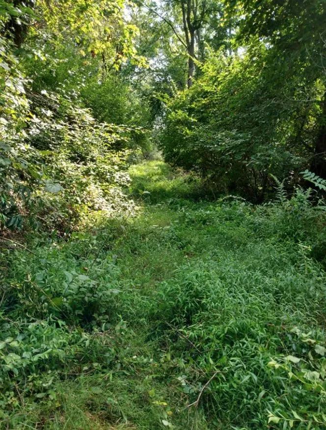 Affordable yard maintenance near you in Fayetteville, PA by Diggin Daves Landscaping and Handyman Services