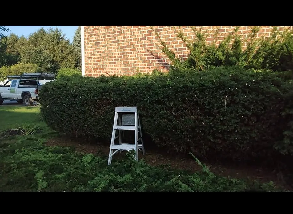 Top-rated yard maintenance in Fayetteville, PA by Diggin Daves Landscaping and Handyman Services