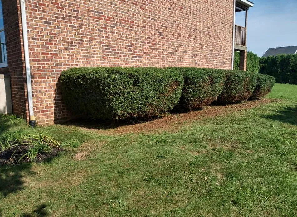 Custom outdoor landscaping in Fayetteville, PA by Diggin Daves Landscaping and Handyman Services