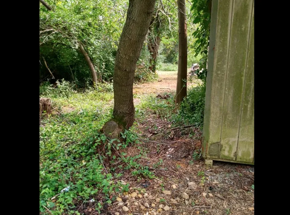 Affordable lawn care service in Fayetteville, PA - Diggin Daves Landscaping and Handyman Services